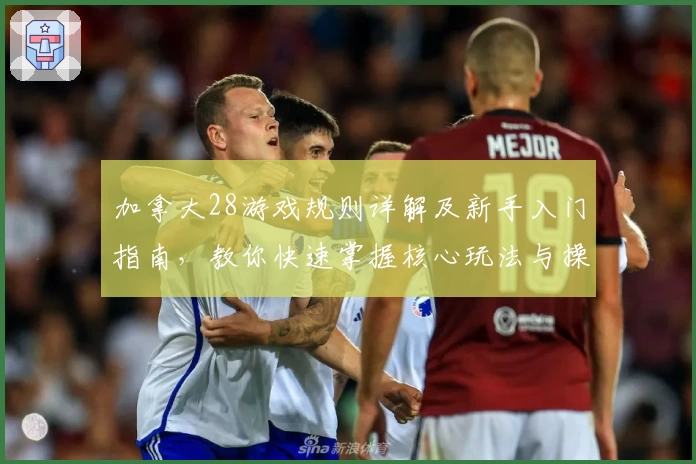 加拿大28游戏规则详解及新手入门指南，教你快速掌握核心玩法与操作技巧