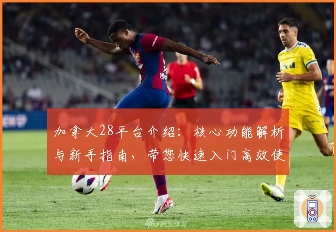 加拿大28平台介绍：核心功能解析与新手指南，带您快速入门高效使用技巧