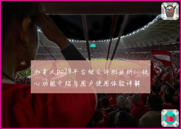 加拿大pc28平台综合评测分析：核心功能介绍与用户使用体验详解