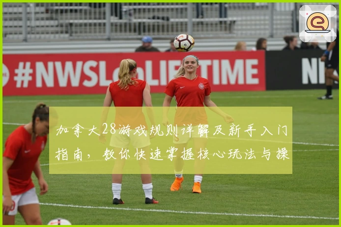 加拿大28游戏规则详解及新手入门指南,教你快速掌握核心玩法与操作技巧