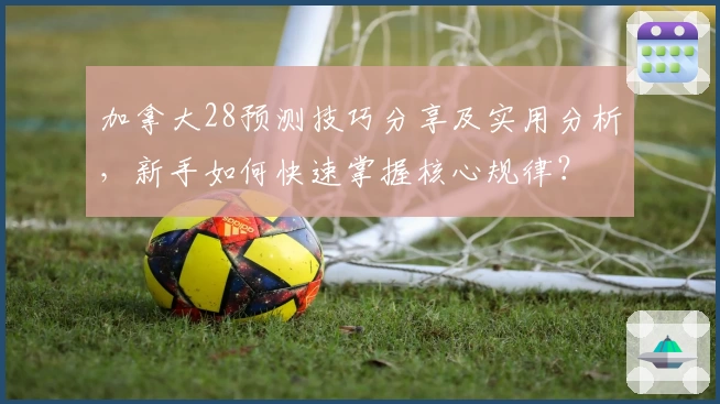 加拿大28预测技巧分享及实用分析，新手如何快速掌握核心规律？