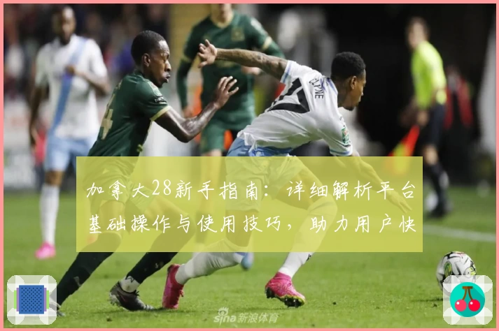 加拿大28新手指南：详细解析平台基础操作与使用技巧，助力用户快速上手体验