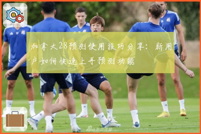 加拿大28预测使用技巧分享：新用户如何快速上手预测功能