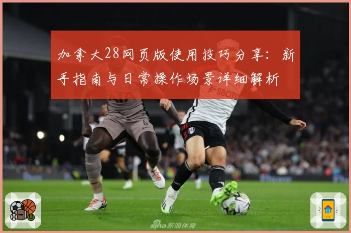 加拿大28网页版使用技巧分享：新手指南与日常操作场景详细解析