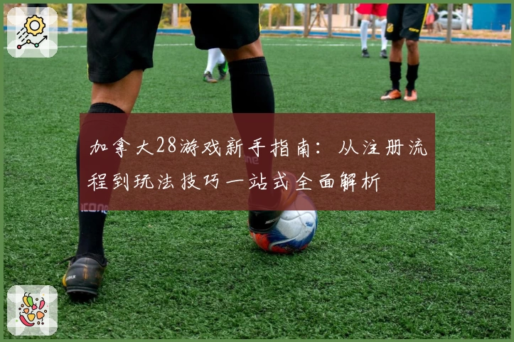 加拿大28游戏新手指南:从注册流程到玩法技巧一站式全面解析