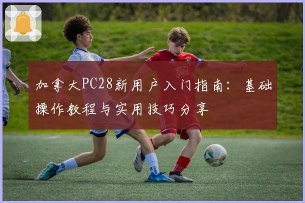 加拿大PC28新用户入门指南：基础操作教程与实用技巧分享