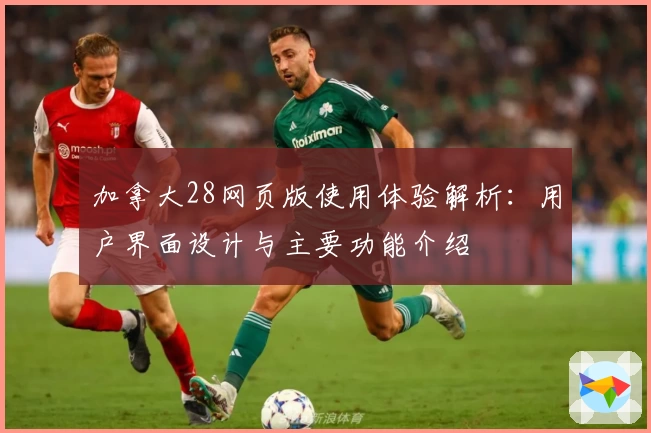 加拿大28网页版使用体验解析：用户界面设计与主要功能介绍