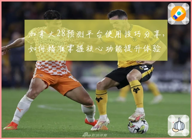 加拿大28预测平台使用技巧分享，如何精准掌握核心功能提升体验