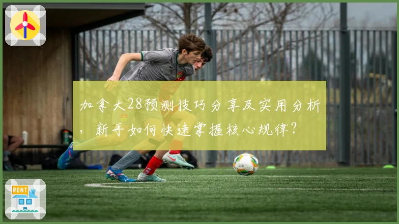 加拿大28预测技巧分享及实用分析，新手如何快速掌握核心规律？