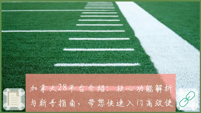 加拿大28平台介绍：核心功能解析与新手指南，带您快速入门高效使用技巧